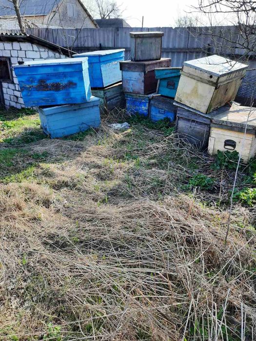 Вулики, лежаки. Пусті вулики