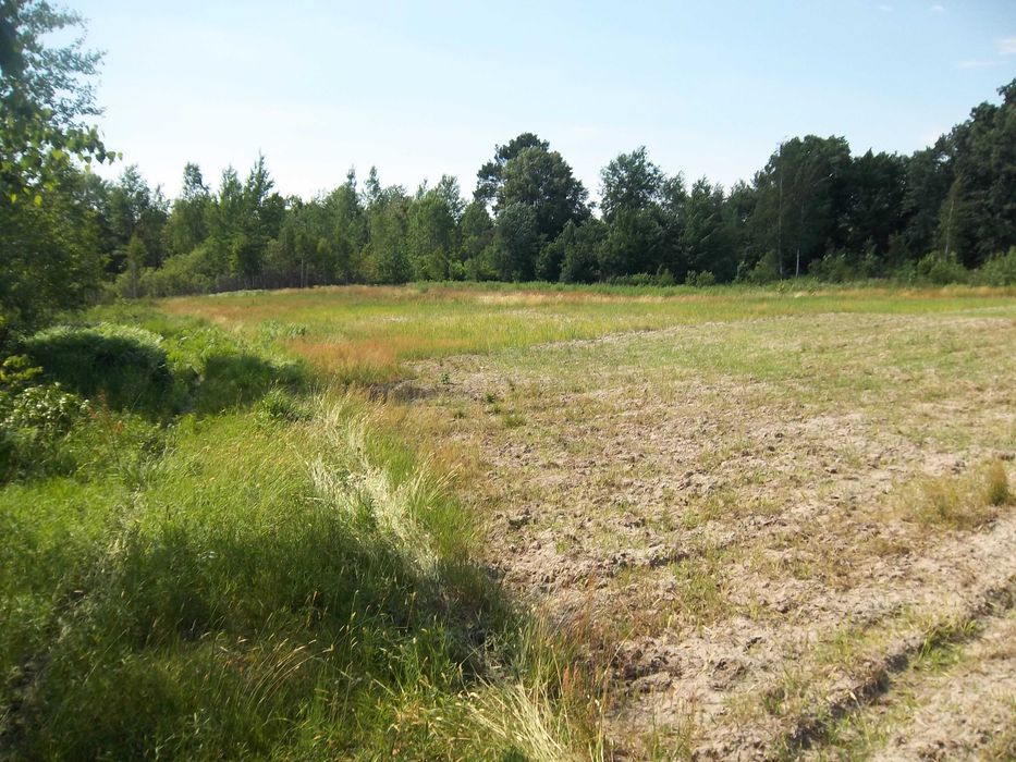 Продам приватизовану земельну ділянку