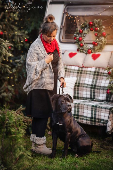 Planowane Mioty Cane Corso ZKwP/FCI oddział Wrocław