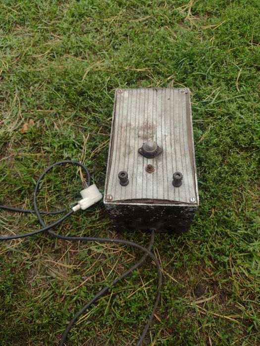 Pastuch elektryczny