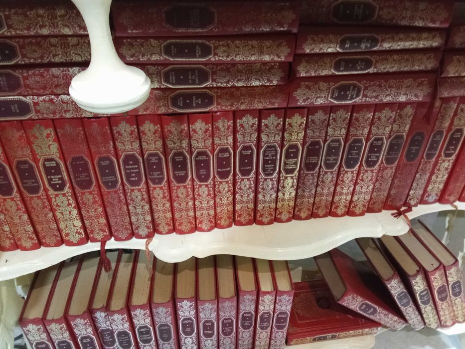 Livros 2.732, diversos, alguns raros e antigos, diversos autores,