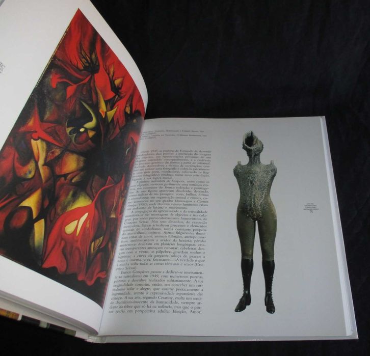 Livro A Arte Portuguesa do Século XX Rui Mário Gonçalves