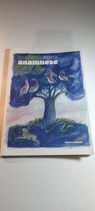 Anamnese - José Ferraz Alçada