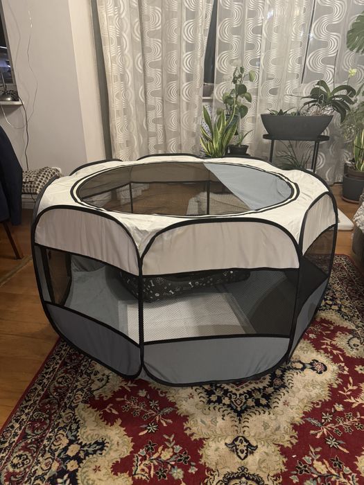 Kojec dla pieska kota