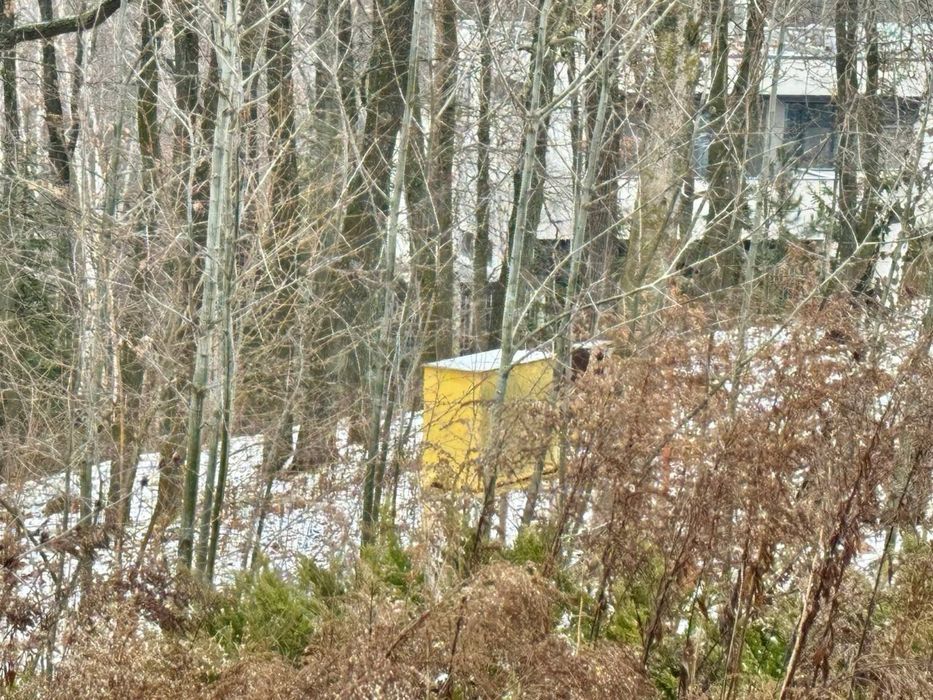 Лісники! Продаж земельноі ділянки з маєтком