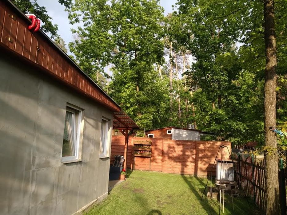 Jezioro Turawskie domek do wynajęcia
