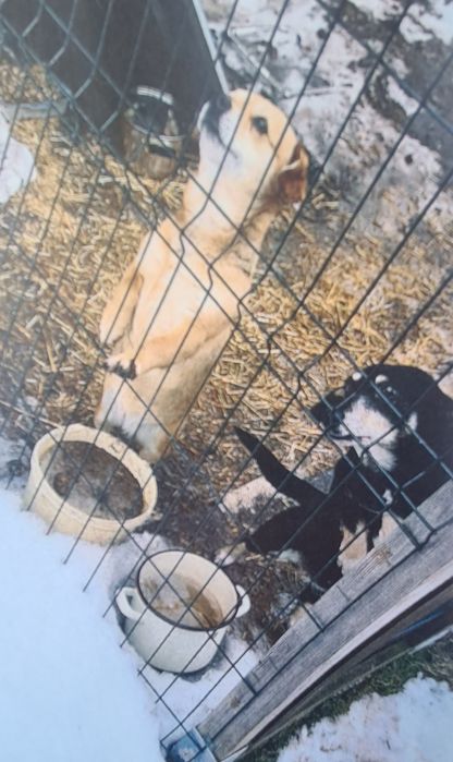 Benia ,Beti.Mama i córka