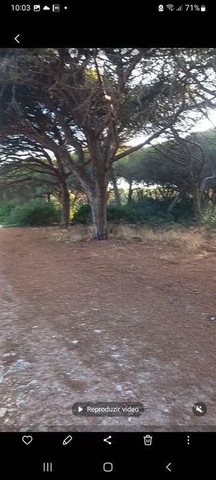 Lotes terreno em cabo espichel / sesimbra