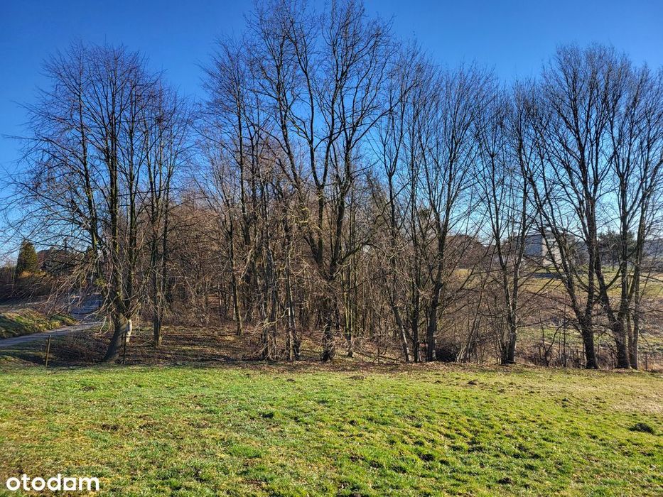 Pięknie położone działki budowlane z lasem w Marklowicach - View 4