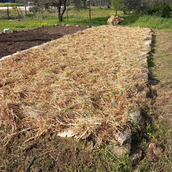 Trabalhos  abates de árvores e limpeza de terrenos tenho tractores