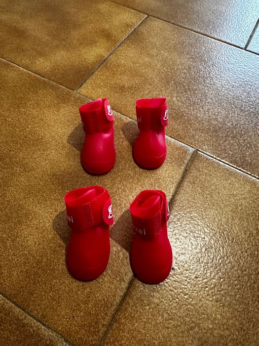 Sapatos para cães
