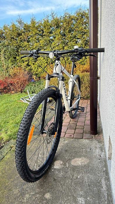 Rower Specialized Hardtail MTB 29