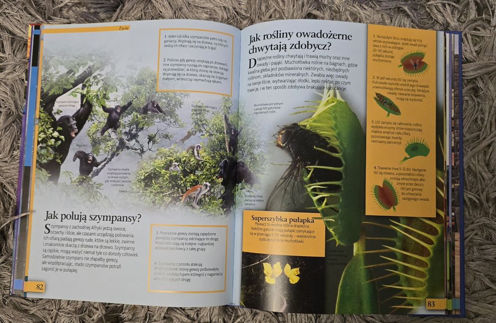 Świat wokół nas Clive Gifford gruba książka