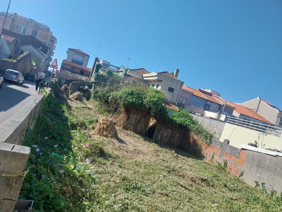 Limpeza de terrenos i jardins