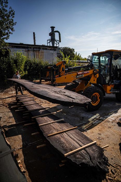 Czarny Dąb Deski Monolity Tarcica Drewno Blaty