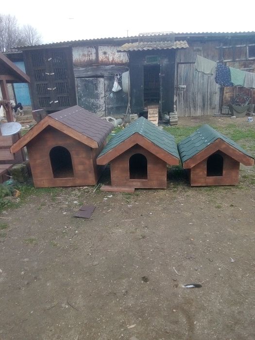 Buda dla psa do wyboru