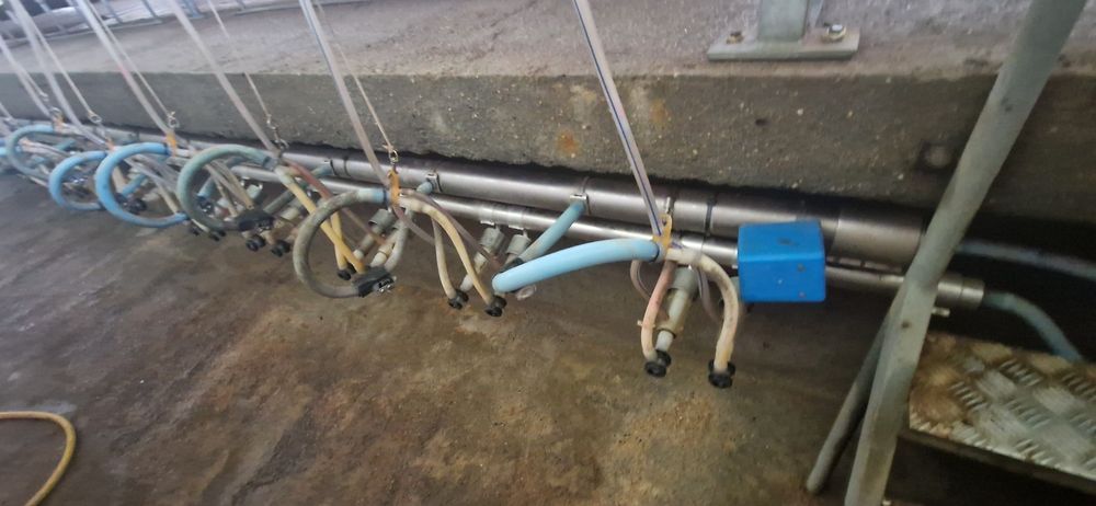 Sala de ordenha cabras ovelhas Fullwood 36 pontos