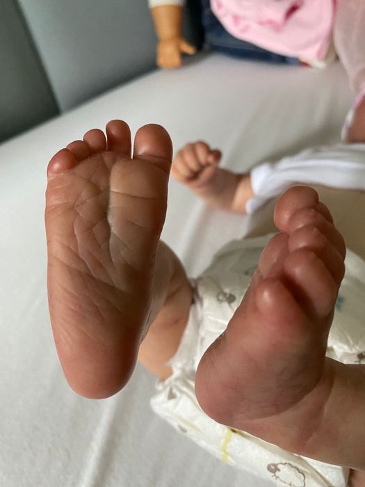 Reborn lalka szuka mamy