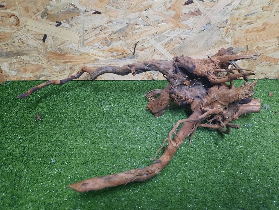 Korzeń do akwarium Red Moore Wood nr 1108 o wymiarach 46/16/30