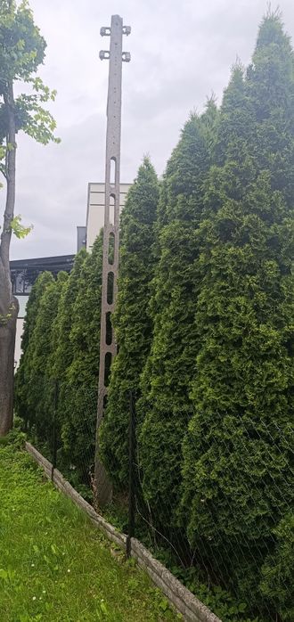 Oddam słup energetyczny
