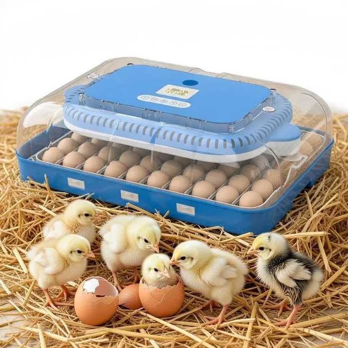 Inkubator do jaj automatyczny z pompą wilgotności OVOstart 70