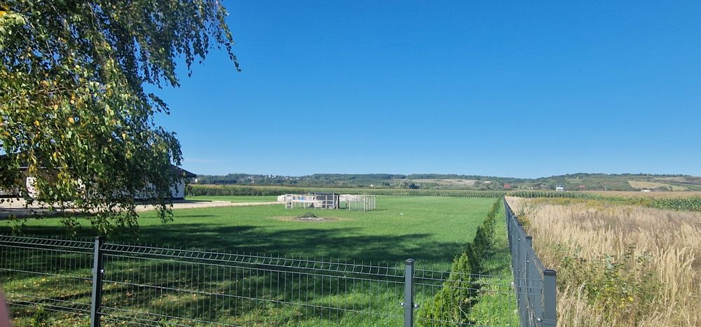 Sprzedam działke Owczary