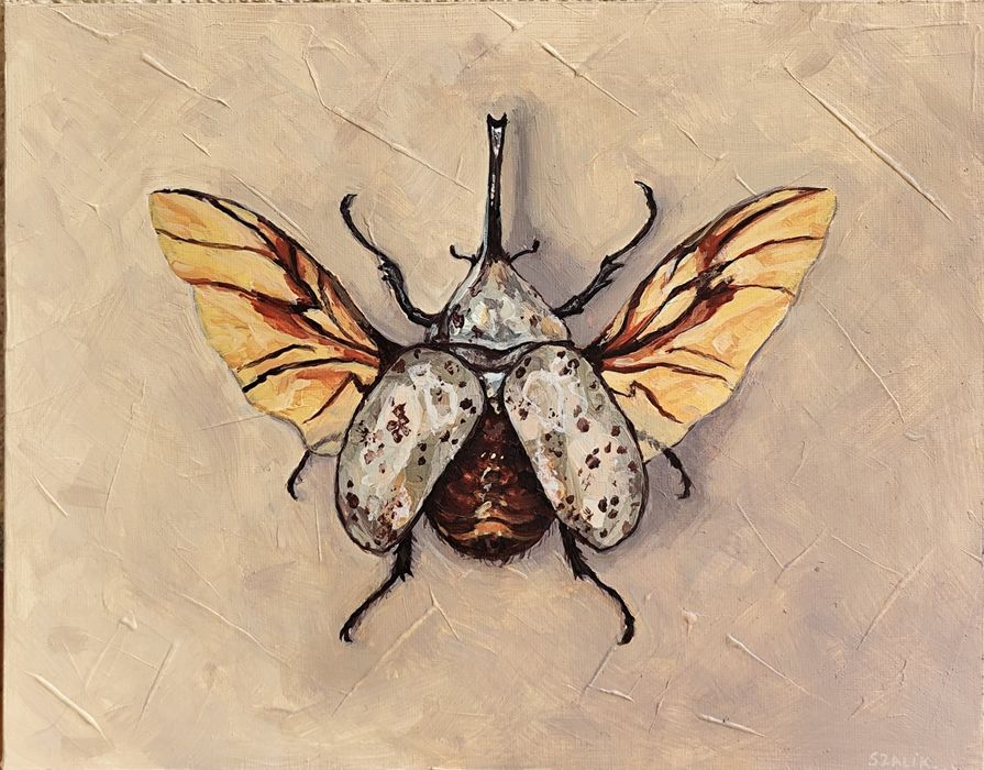 Ręcznie malowany obraz chrząszcza, dynastes grantii, owad, insekt 30x24cm