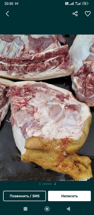 Продаю свиней живою вагою ,тушками півтушками, четвертинами