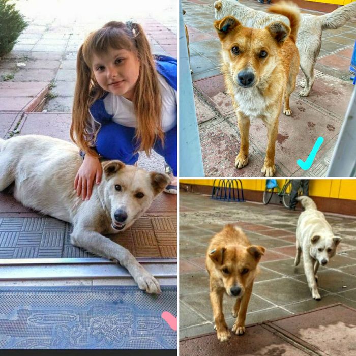 Вони мріють про дім і родину