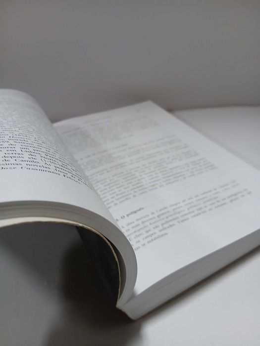 História da Literatura Portuguesa 2 – António José Barreiros