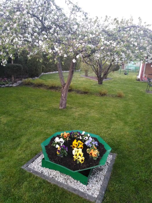 Działka Rod "KOLEJARZ"