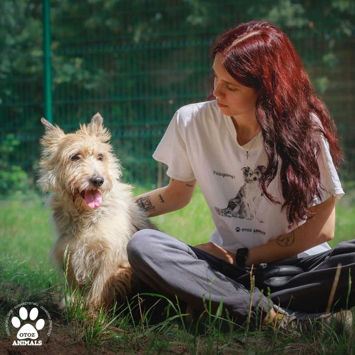 Adoptuj uroczą sunię Nalę!