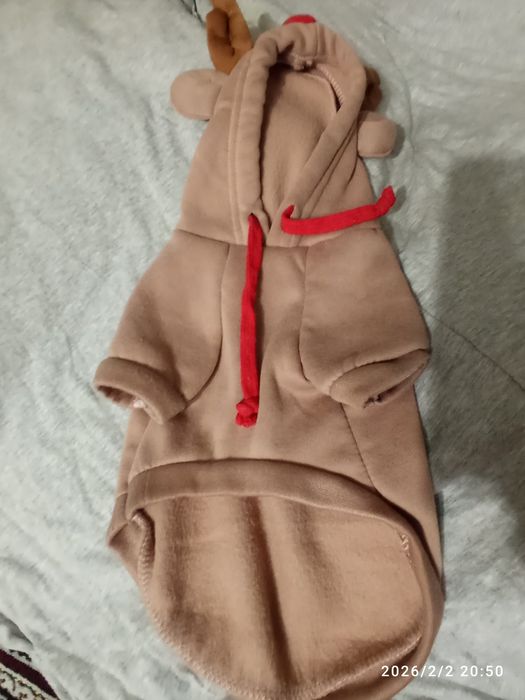 Обувь и желтки, и толстовка