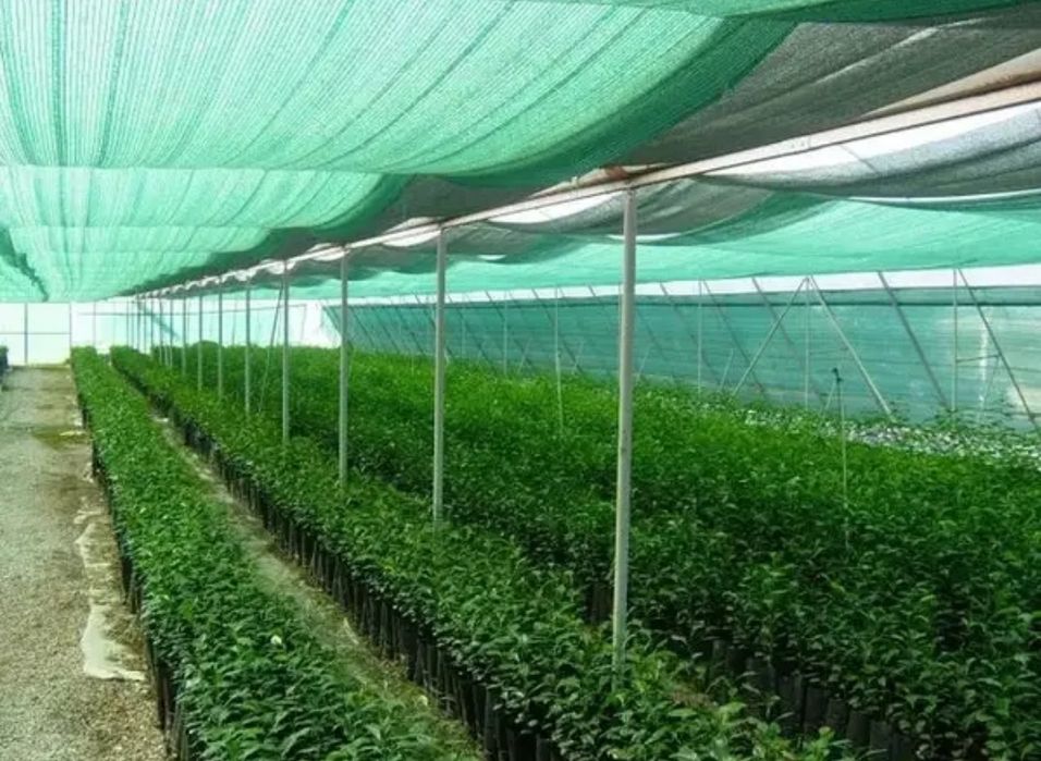 Хіт продажу! Сітка затіняюча 85% 1,5м і 2м Сетка затеняющая