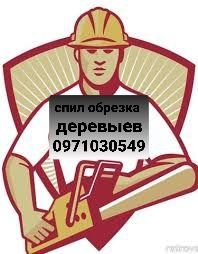 Спил деревыев  обрезка кронирования БЛАГОУСТРОЙСТВО ТЕРИТОРИИ
