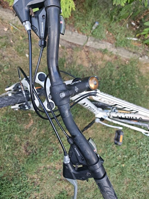 Rower crossowy Alpina