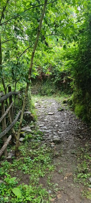2 casas em pedra, xisto e lousa em ambiente natural