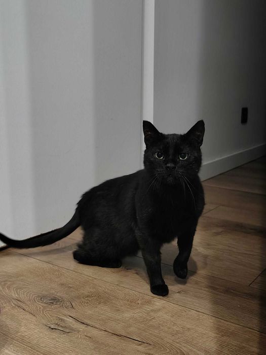 urocza Jennefer szuka domku