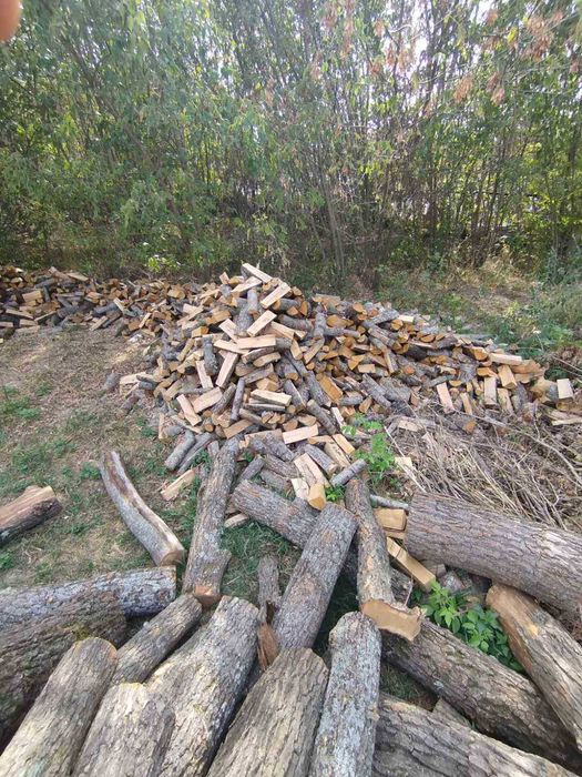 ПРОДАМ дрова Дуб колотий длина 33- 35 см
Середній покол.