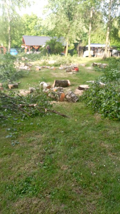 Koszenie karczowanie 1 zł m2