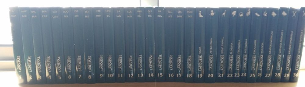 Larousse431625112451829763