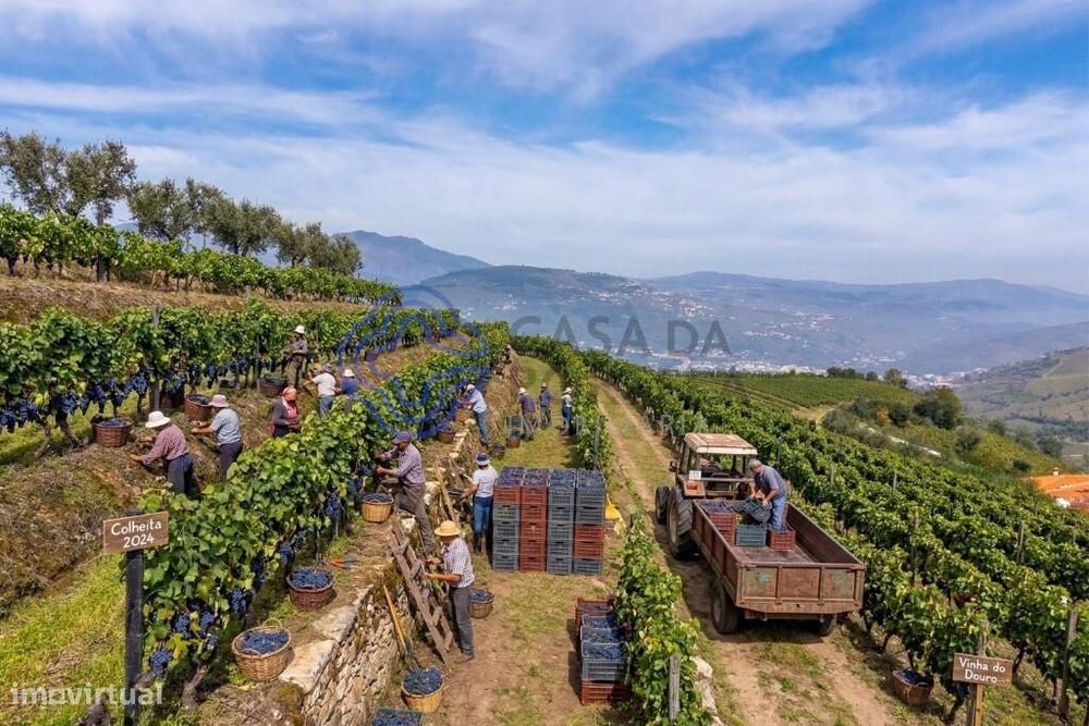 Quinta de Sequeiros em Sande, Lamego