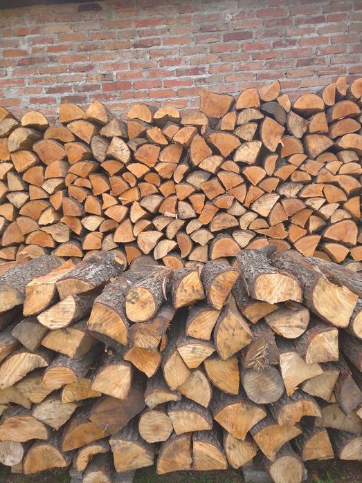 Drewno kominkowe i opałowe - drzewo liściaste OLSZYNA