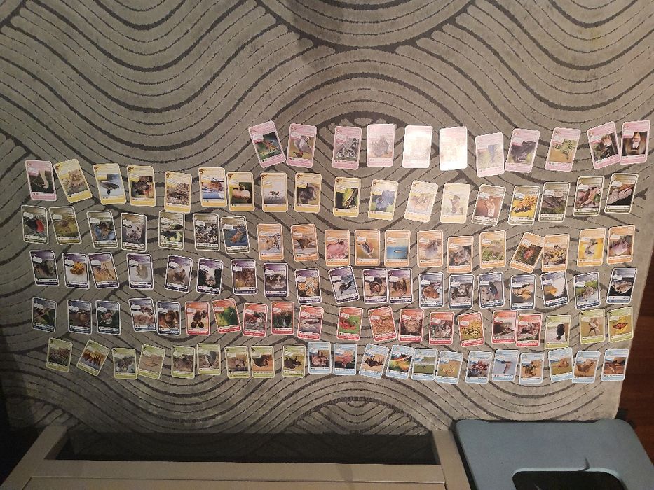 Super animais 1 completa