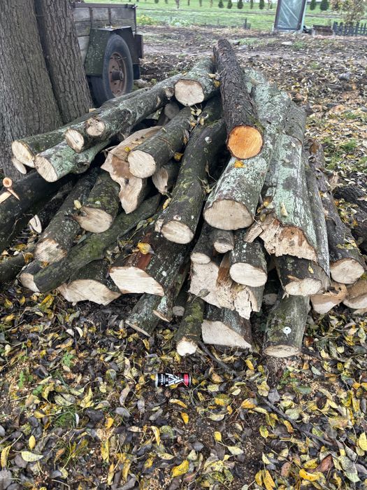 Grab opał drewno