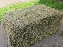 Продам сіно в тюках