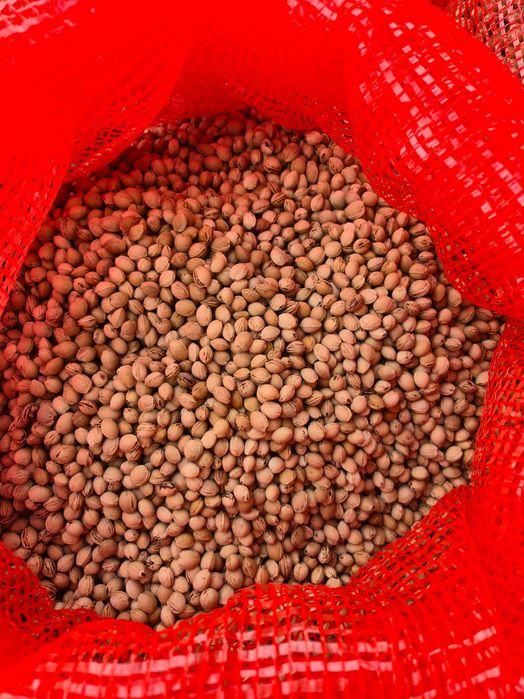Pestka wiśni wkład do termoforów 1kg