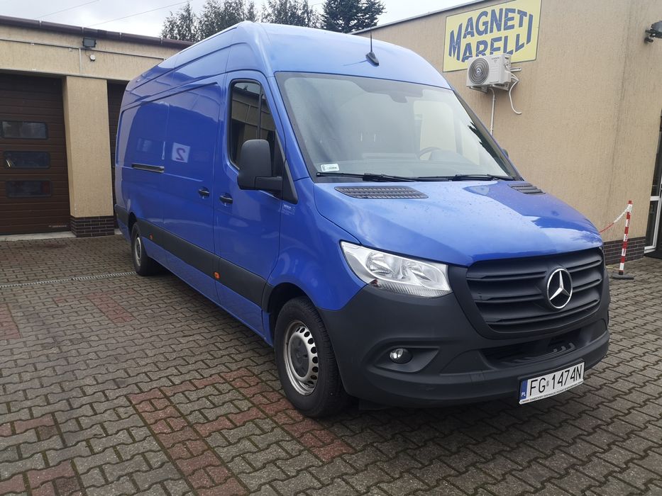 Wypożyczalnia samochodów. Wypozyczalnia busów