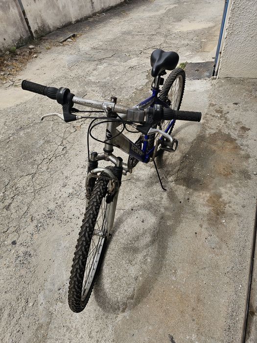 Bicicleta adulto