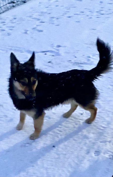 Шукаємо родину для молодого хлопчика